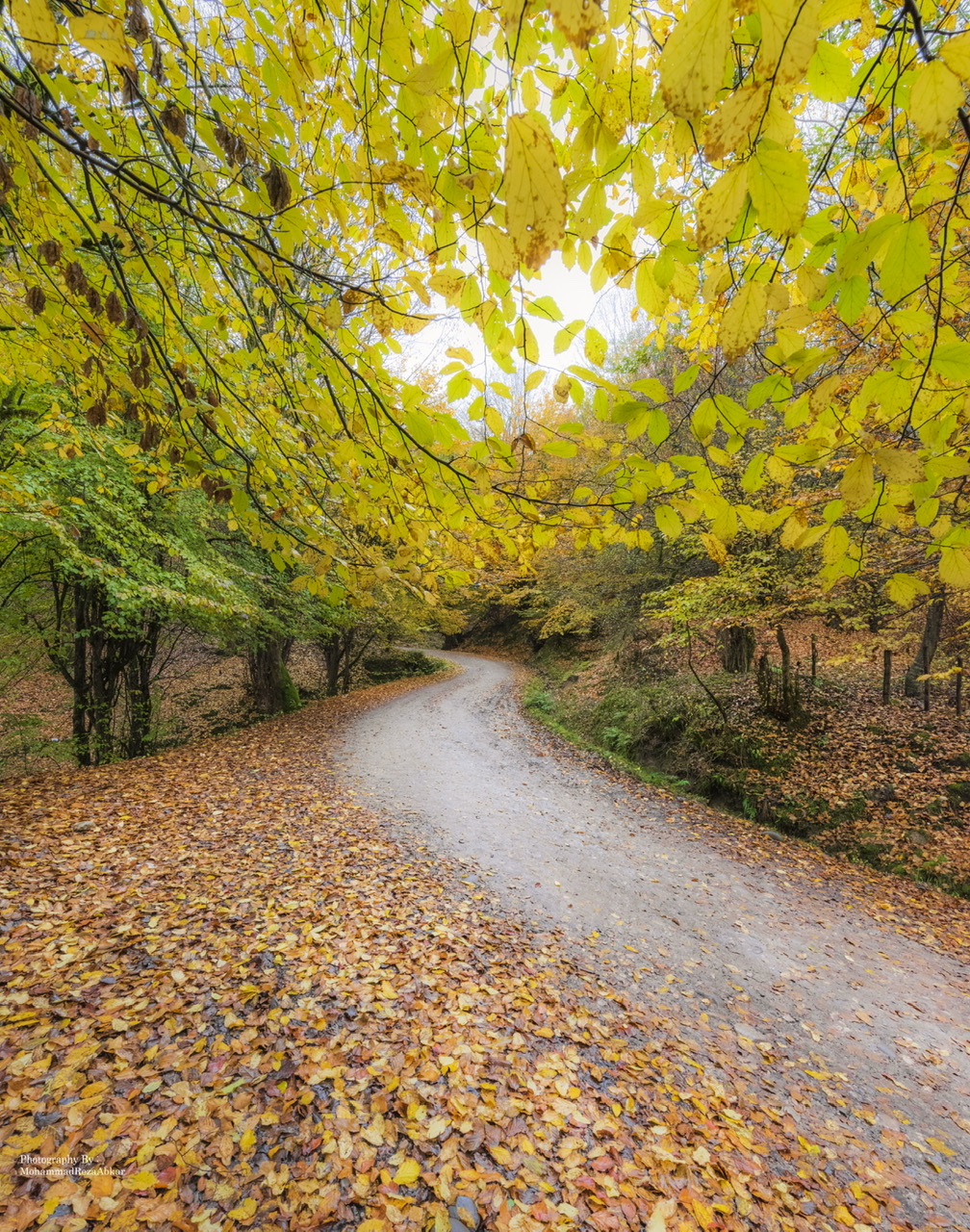 La gloria della ? autunnale