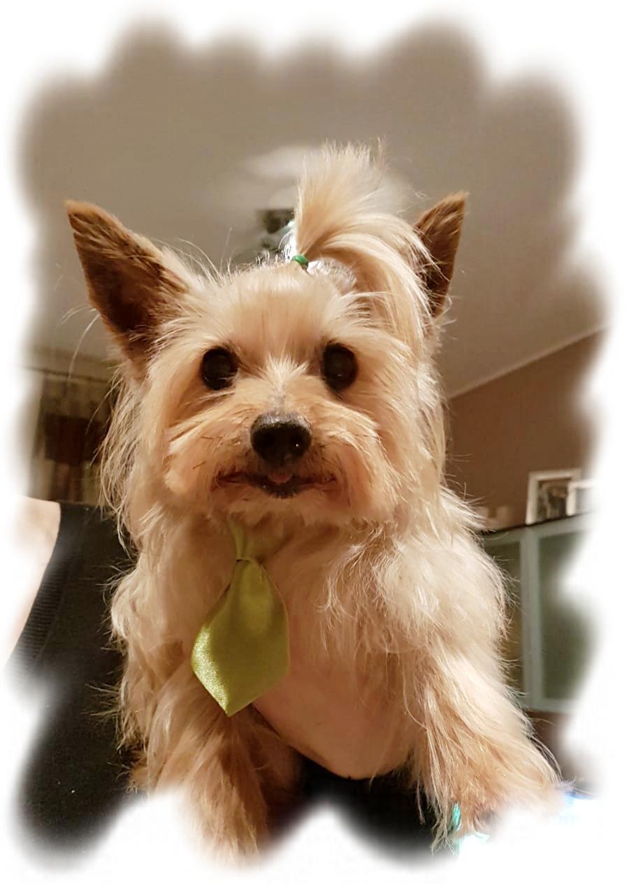 Ricordo di un caro amico