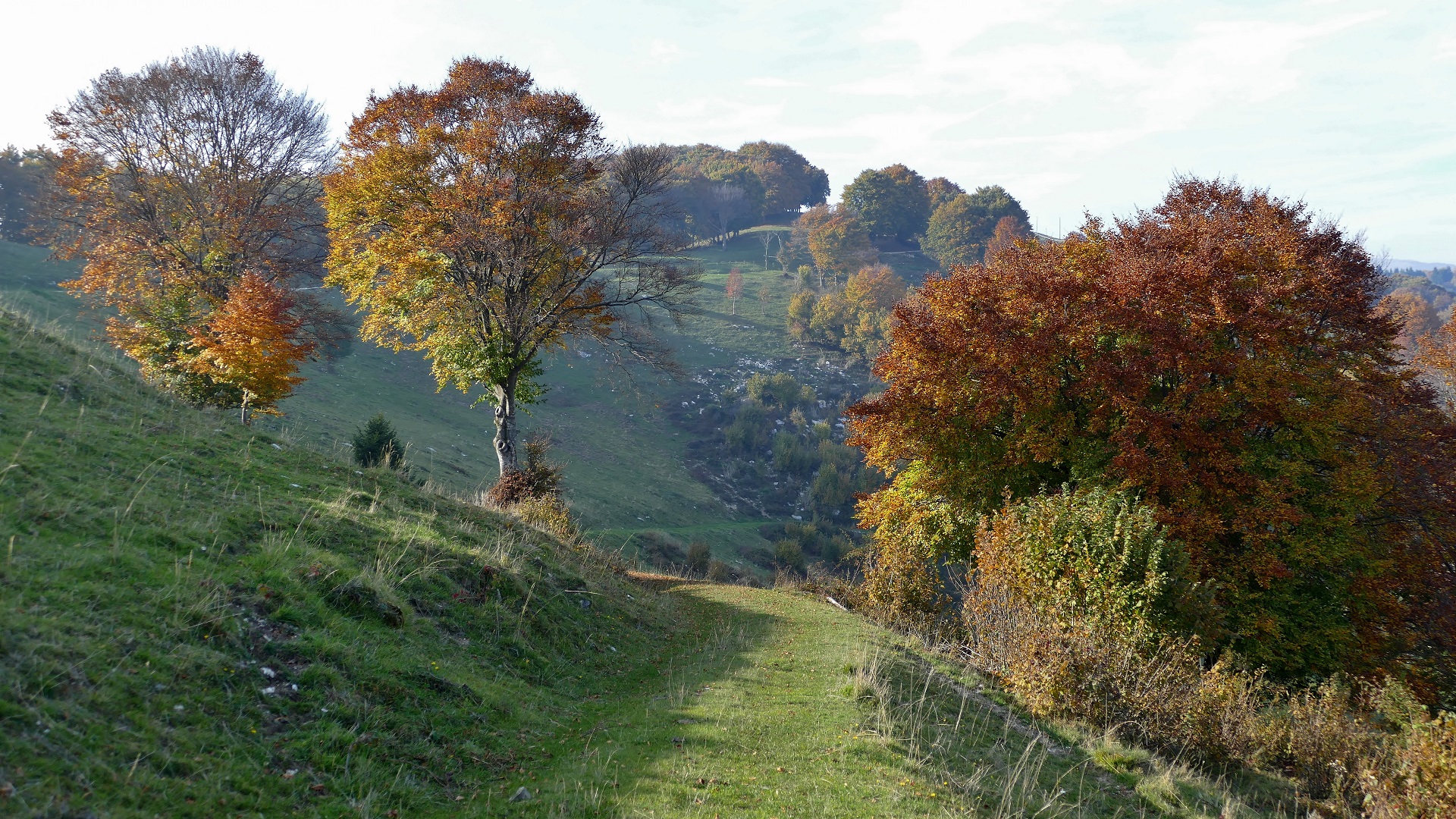 Autunno nei pressi di Rubbio-Altopiano di Asiago