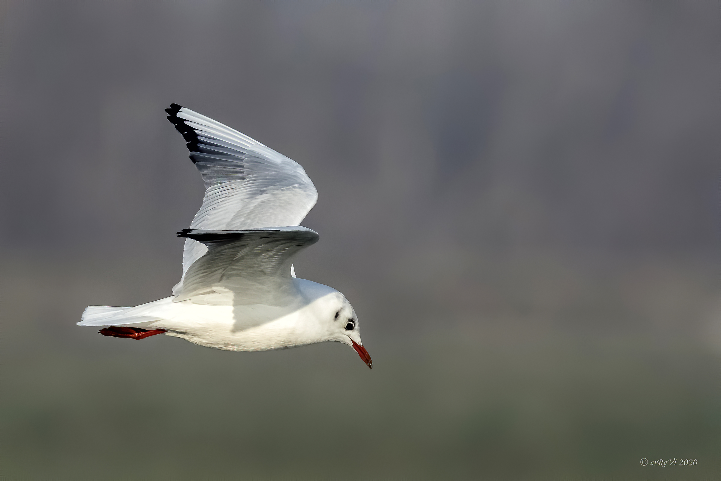 What are you doing down there?