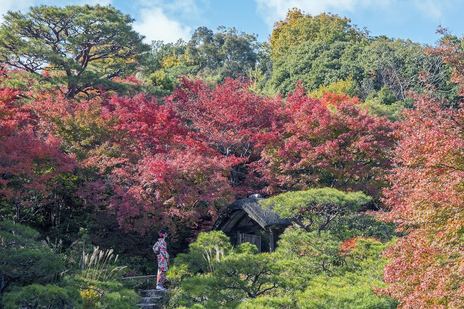 Okochi Sanso garden