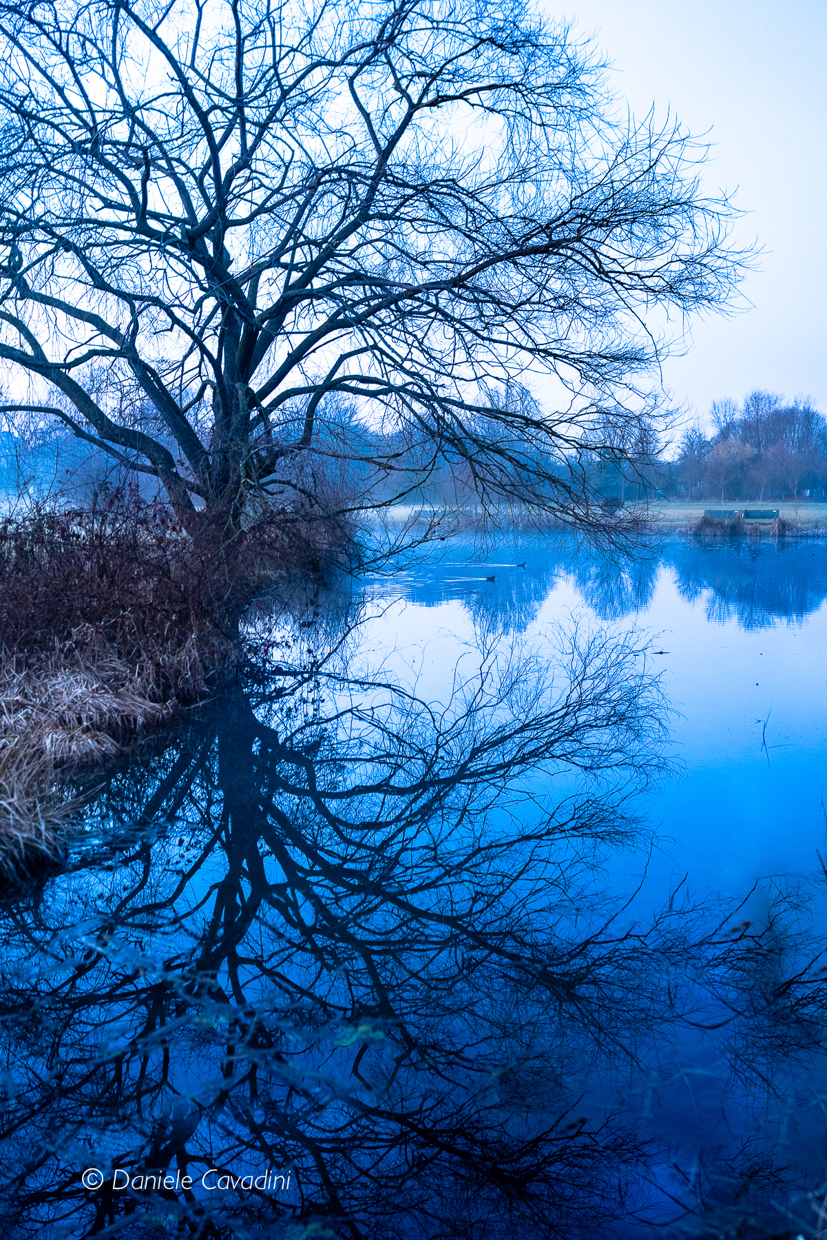 Parco Nord Milano
