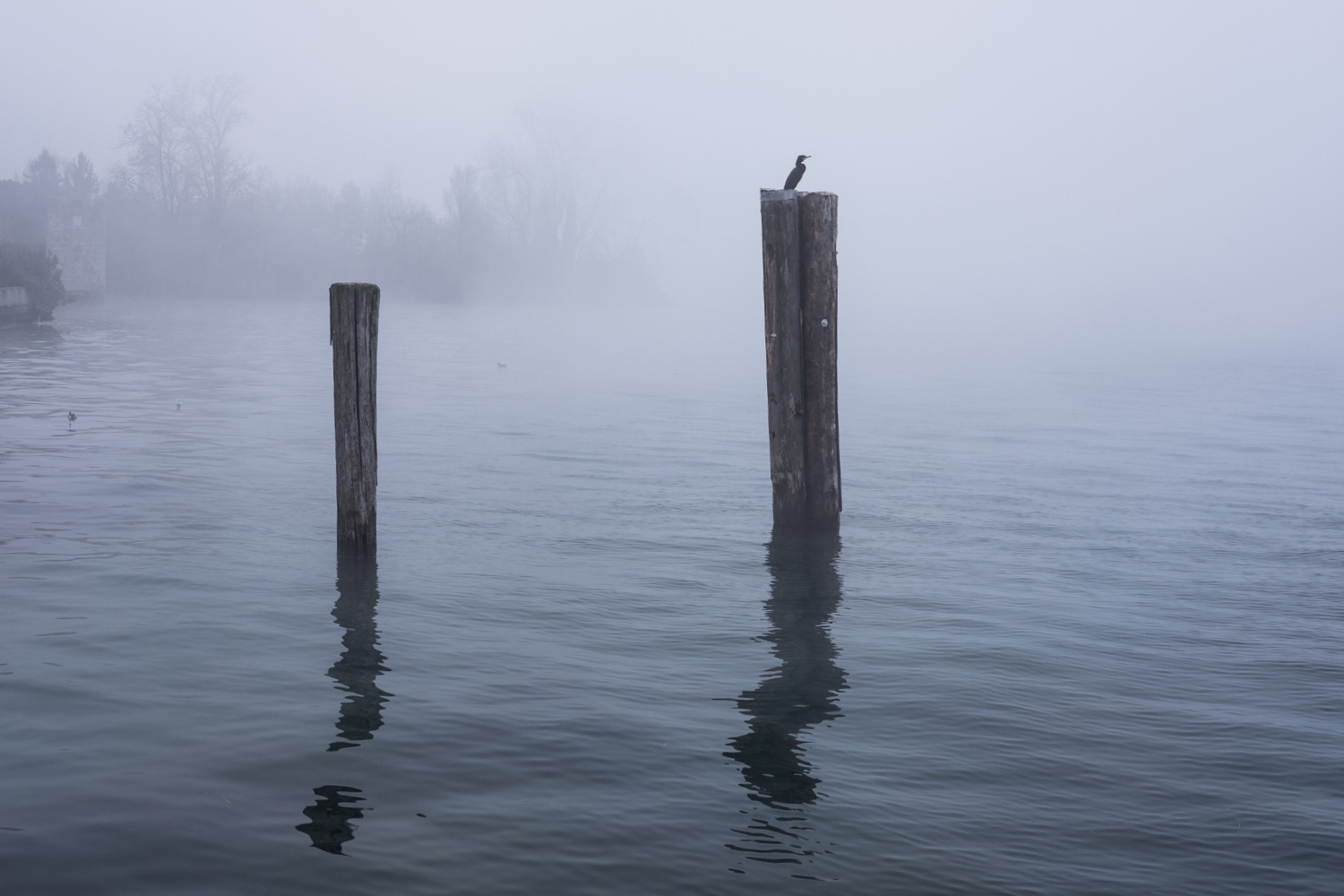 The lookout in the fog
