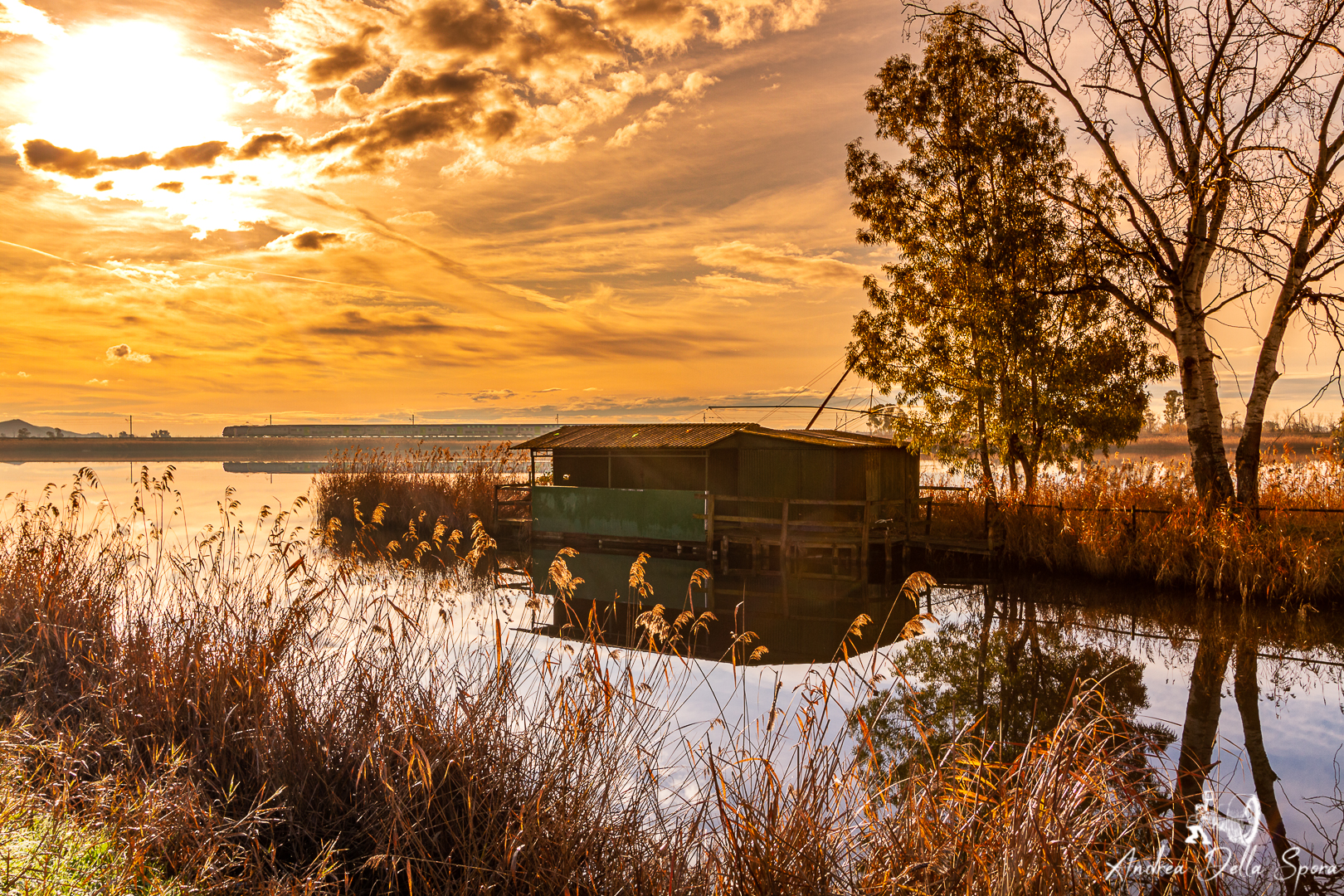 The morning has gold in his mouth
