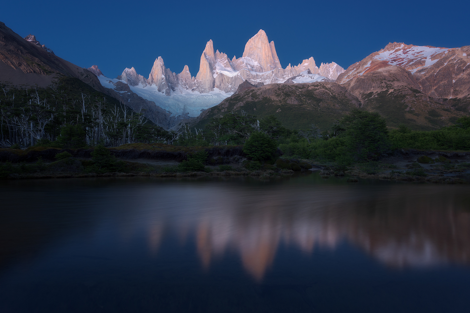ora blu prima dell'alba sul Fitz Roy - foresta poinceno