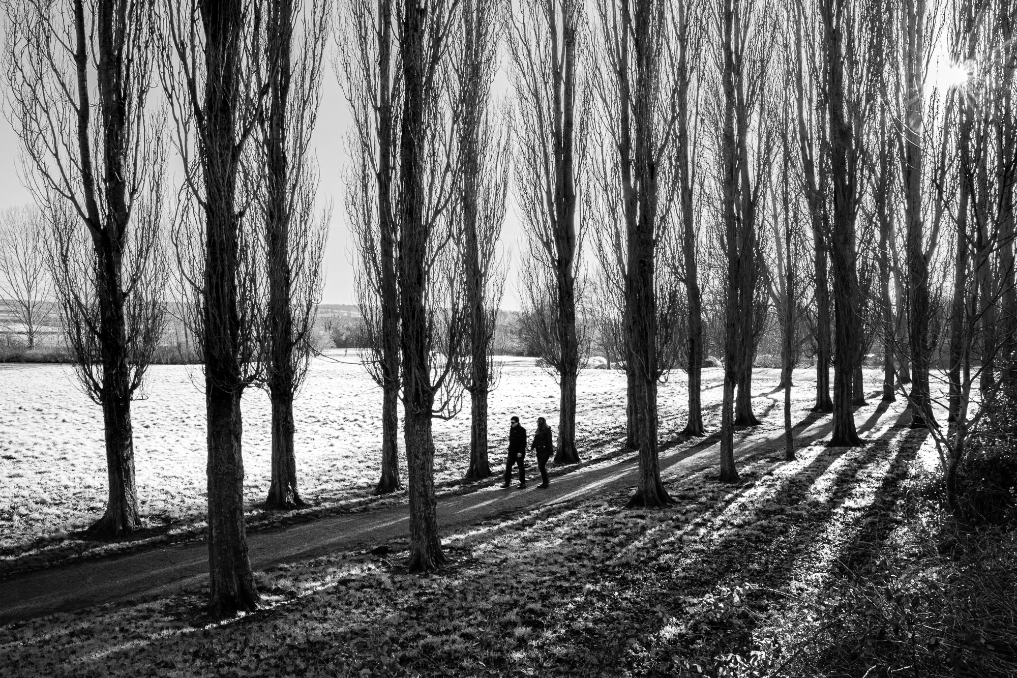 Untitled Photo