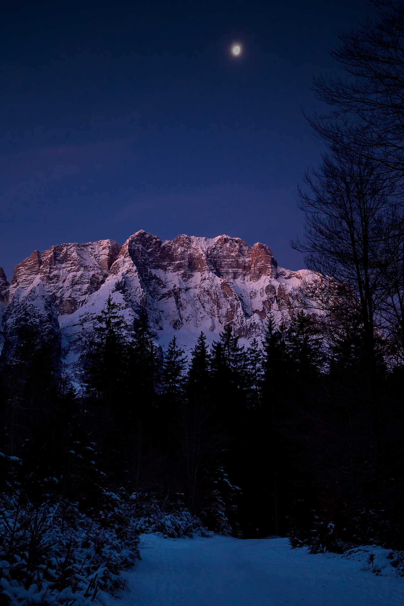 Montasio now blue - Giulie Alps - Italy
