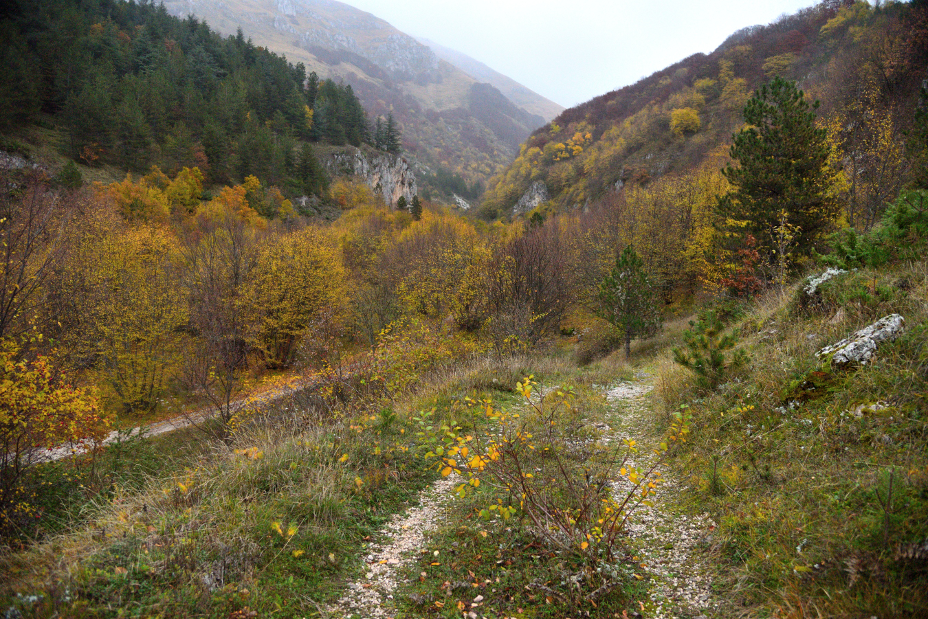 Valle Fredda - Gran Sasso d'Italia