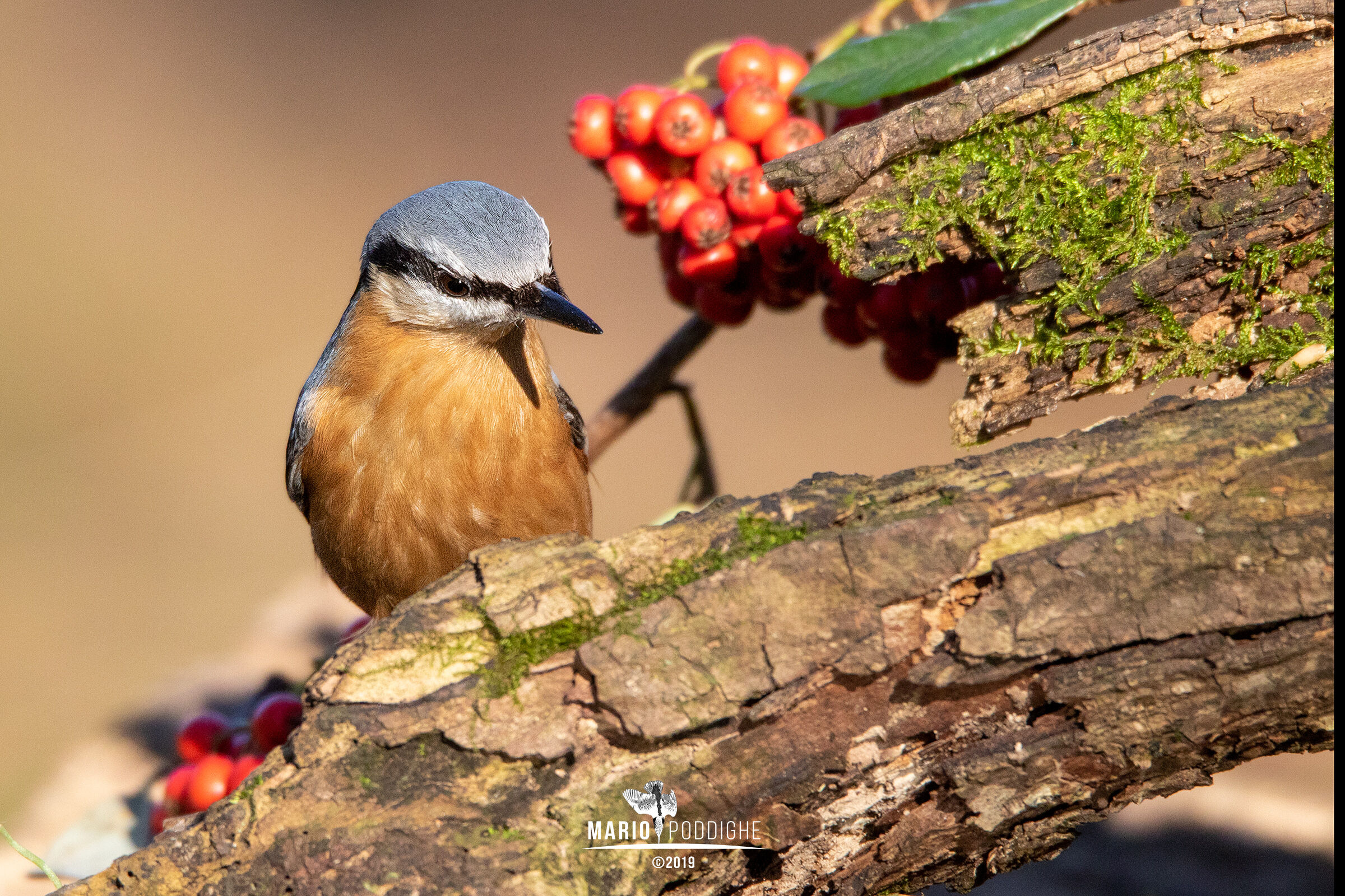 Un muratore ambientato