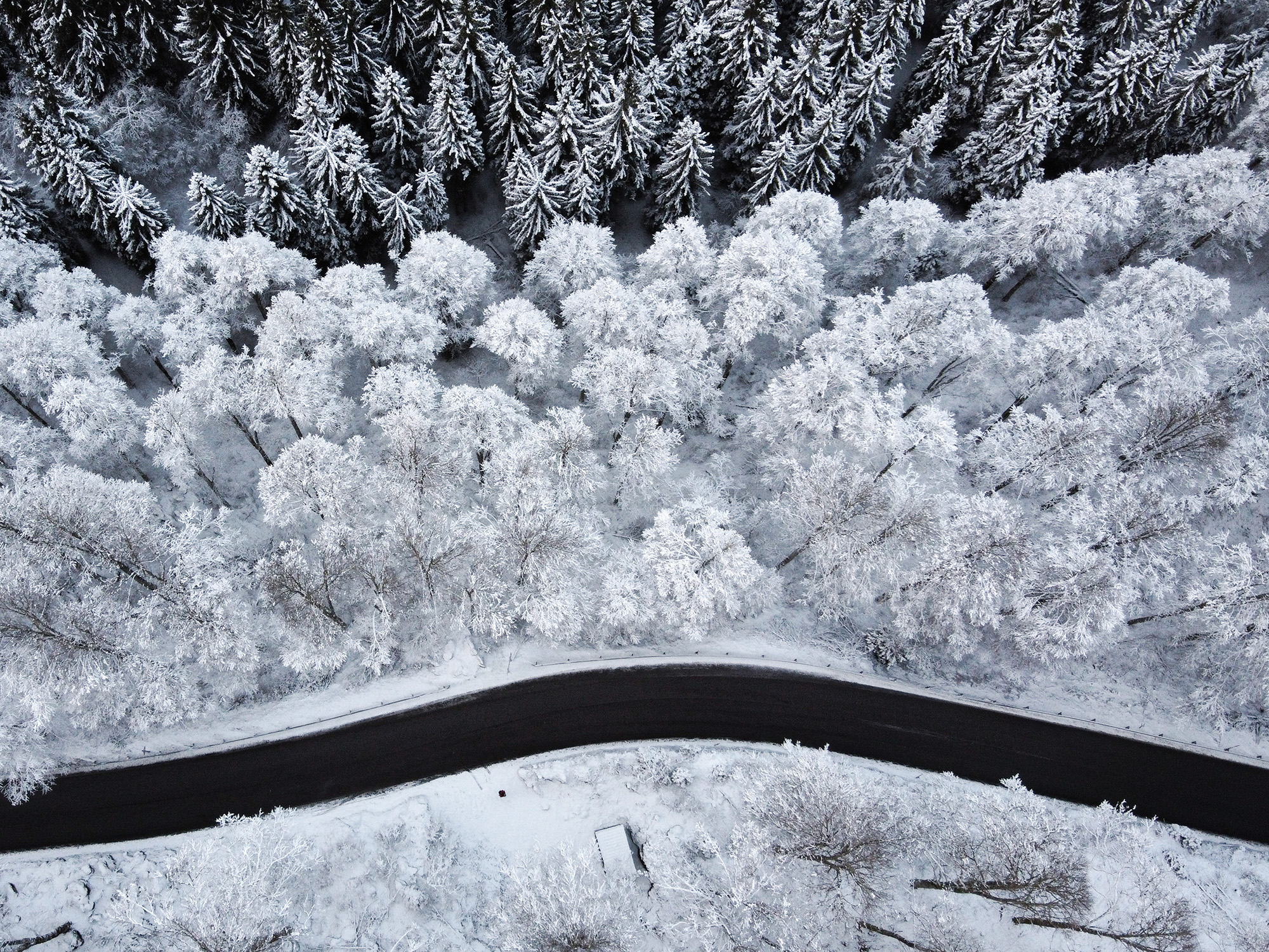 Galaverna, California