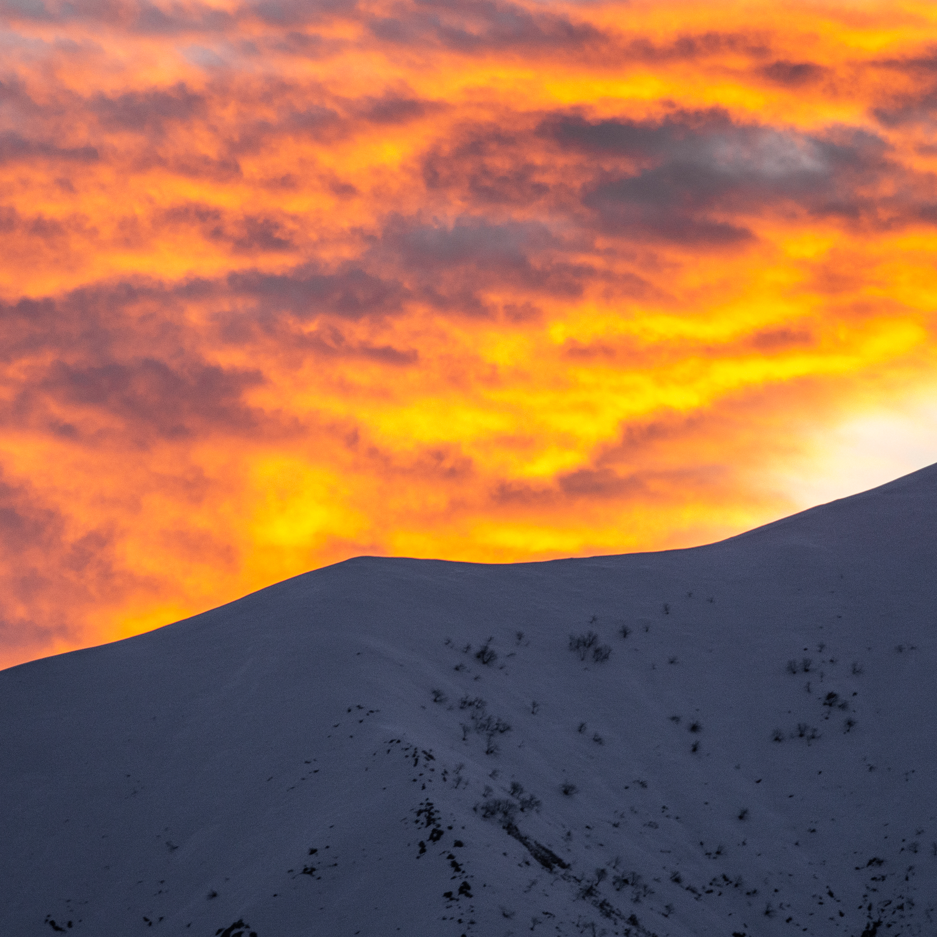 ... and fire in the sky