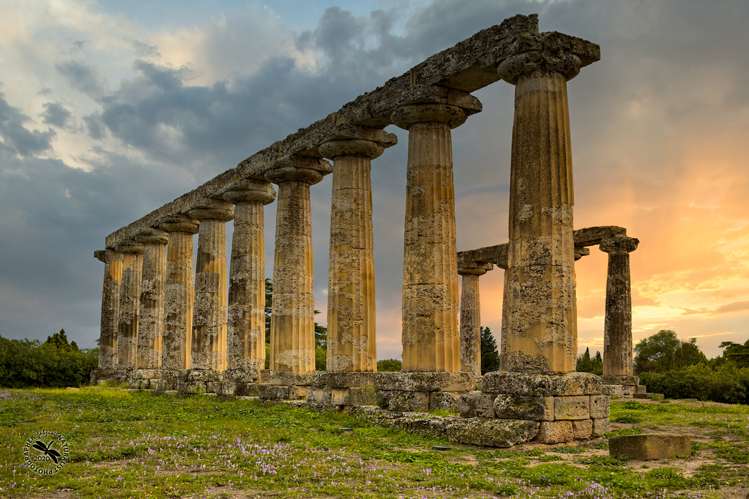 Tavole Palatine Metaponto Tempio di Hera