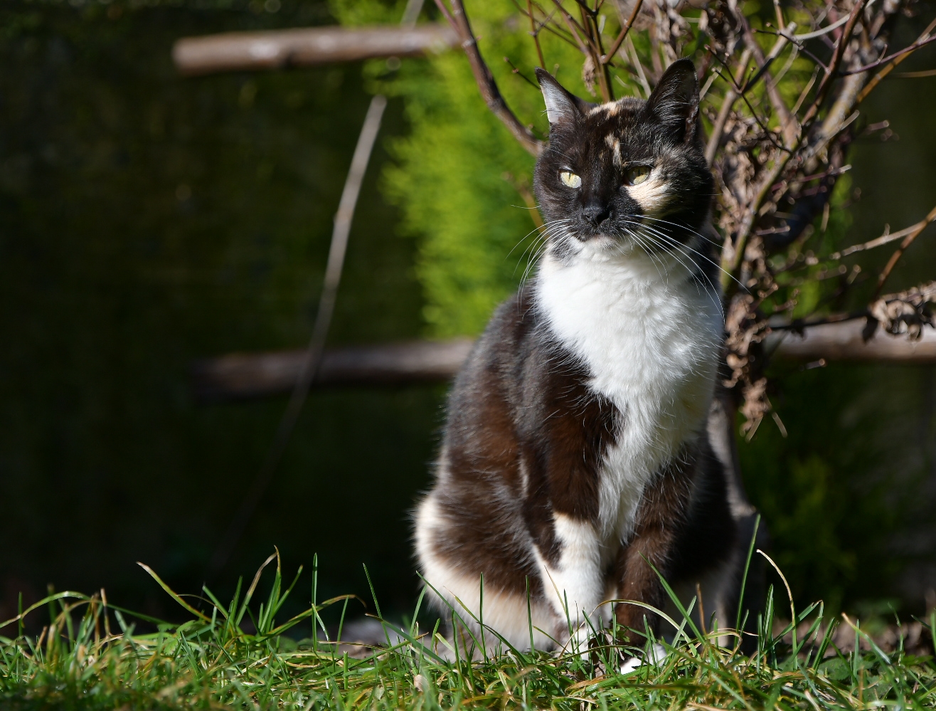 La bellezza di uno sguardo