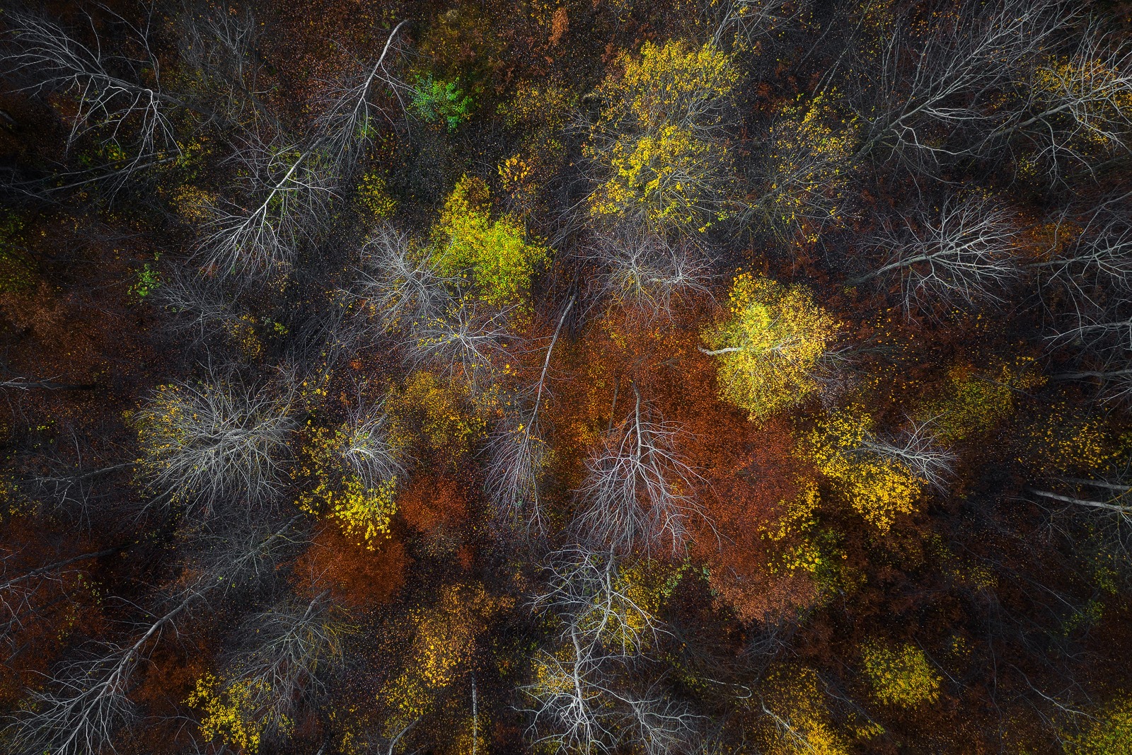 Autumn in the Maramures
