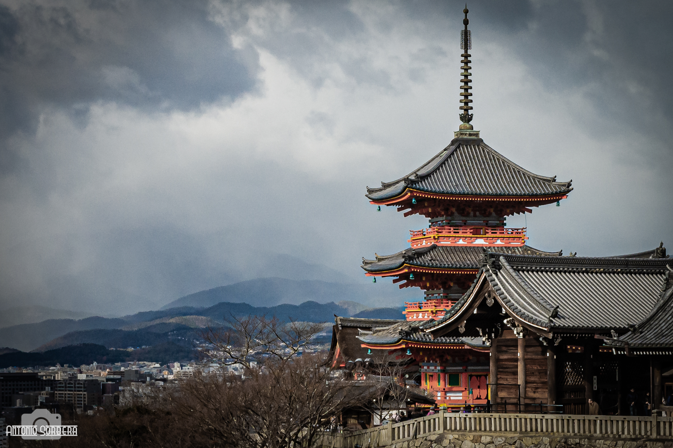 Untitled Photo