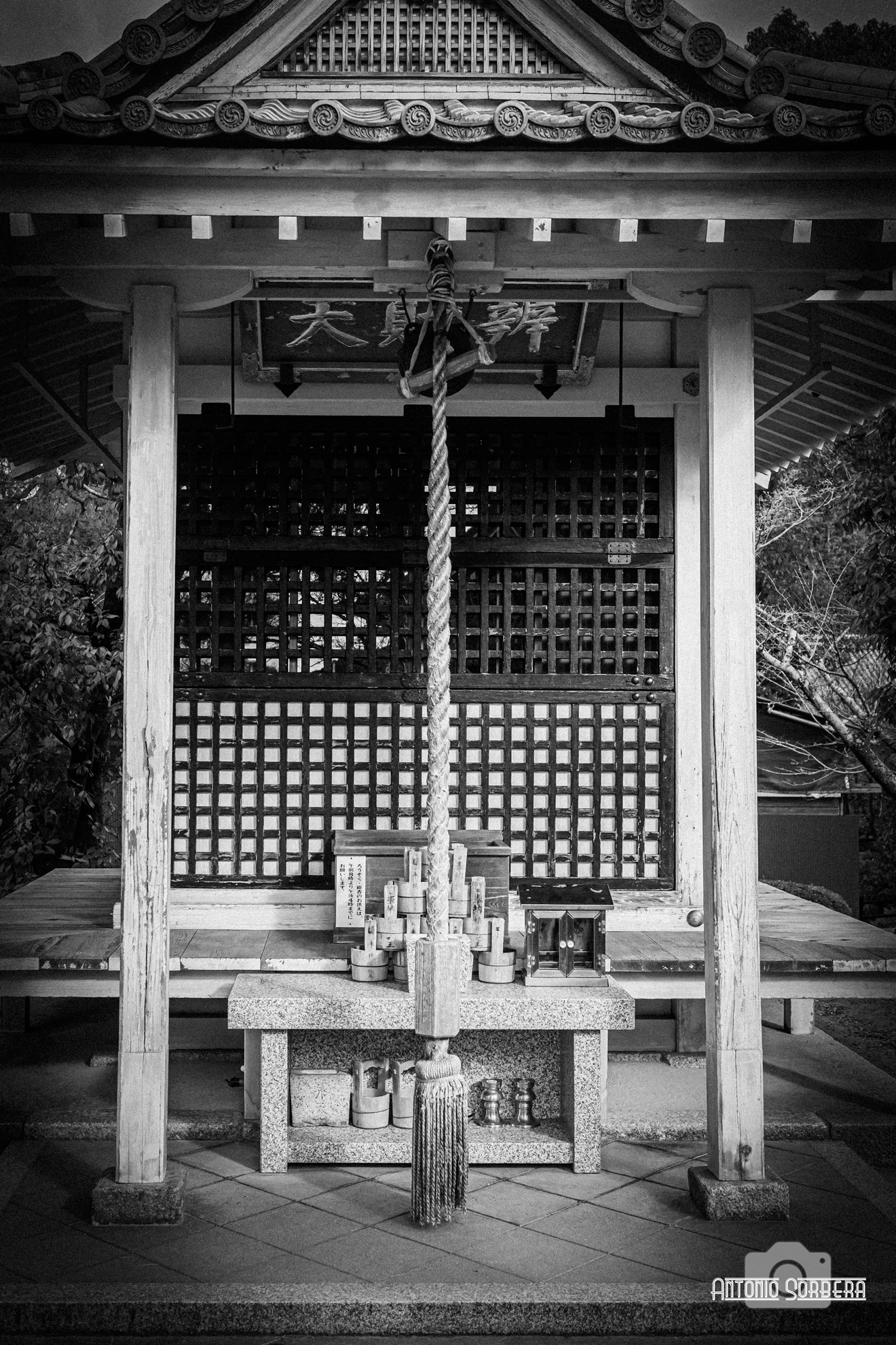 Untitled Photo