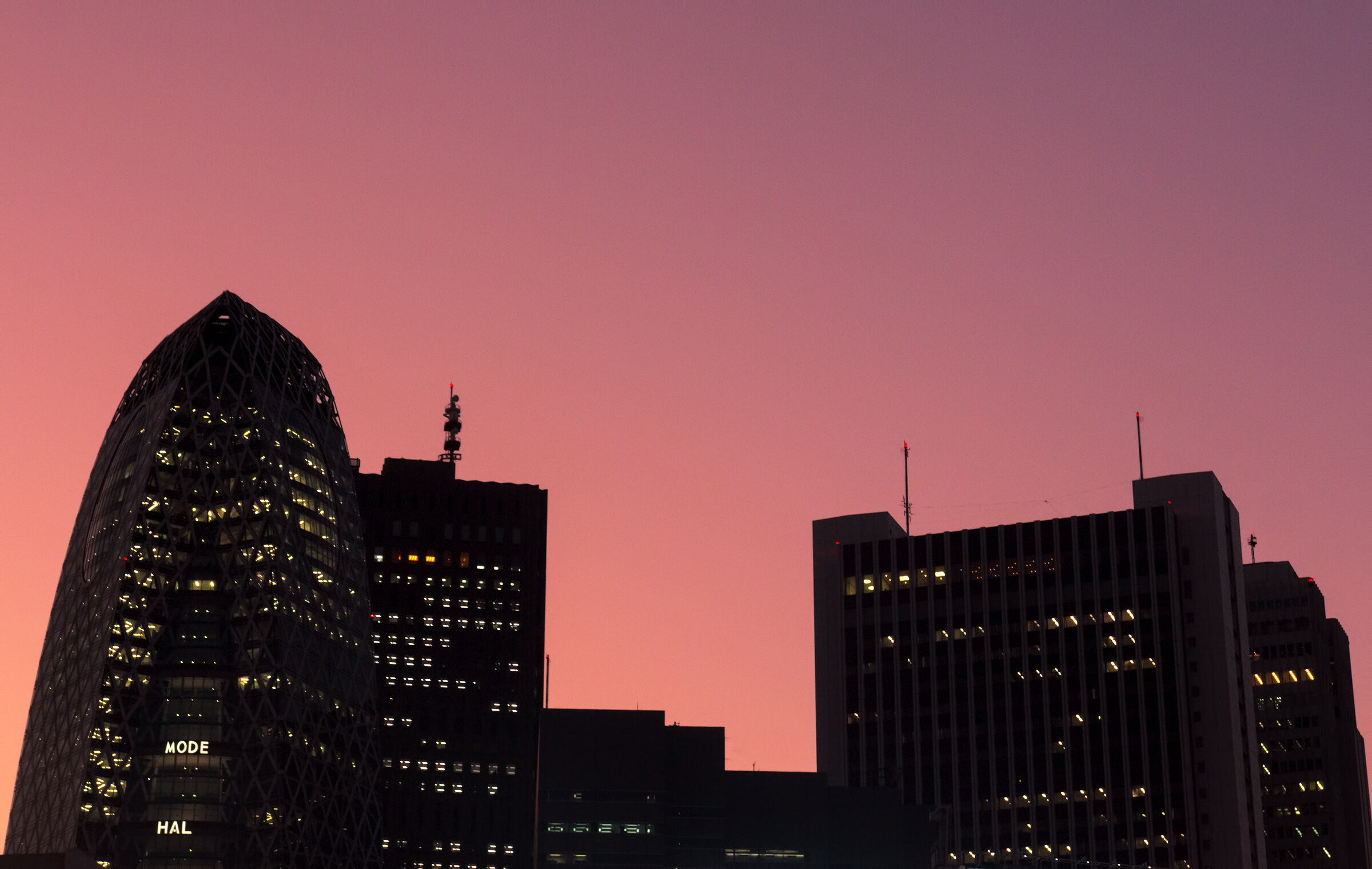 Shinjuku pink sunset
