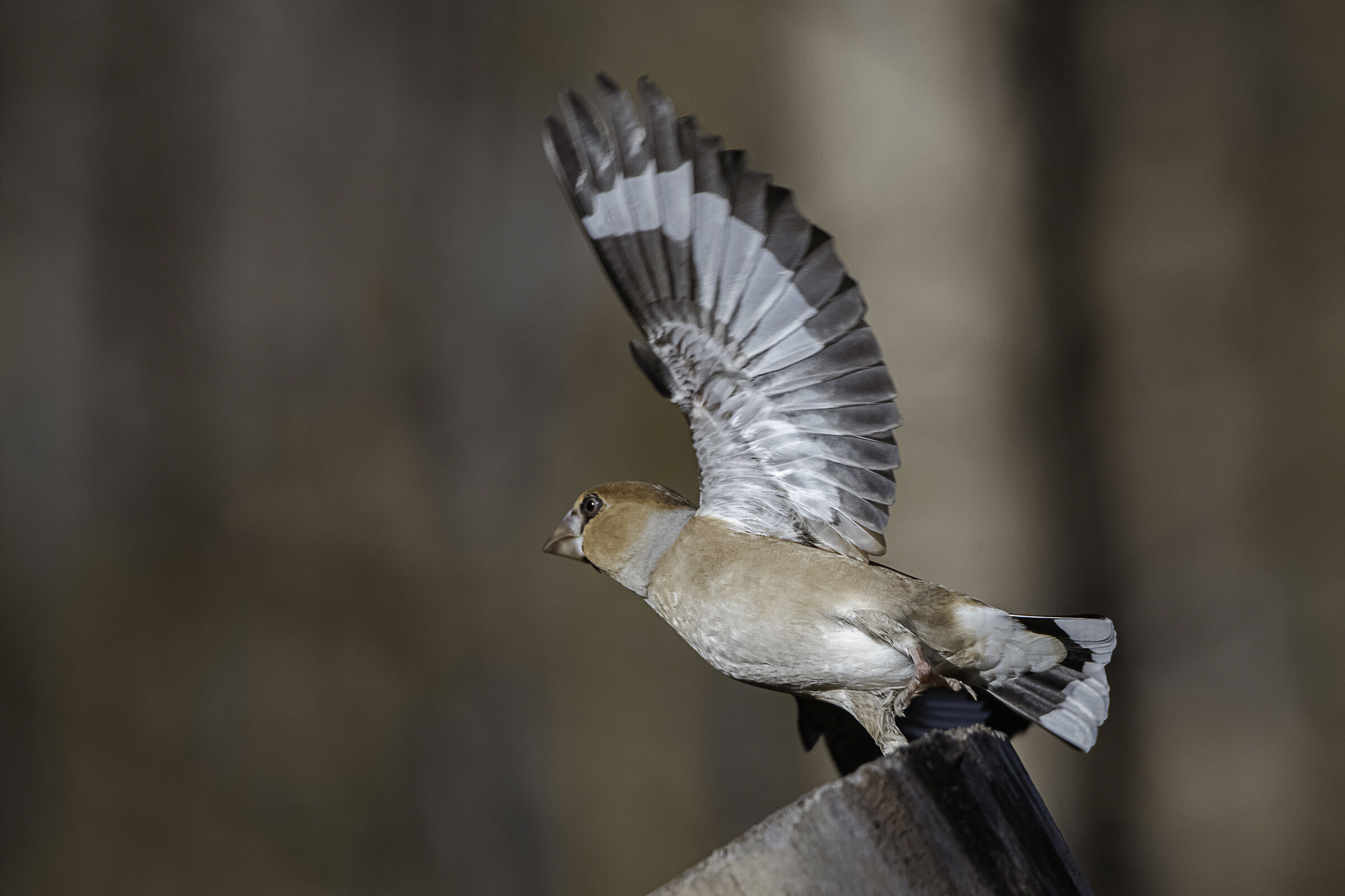 La ricerca dell'equilibrio
