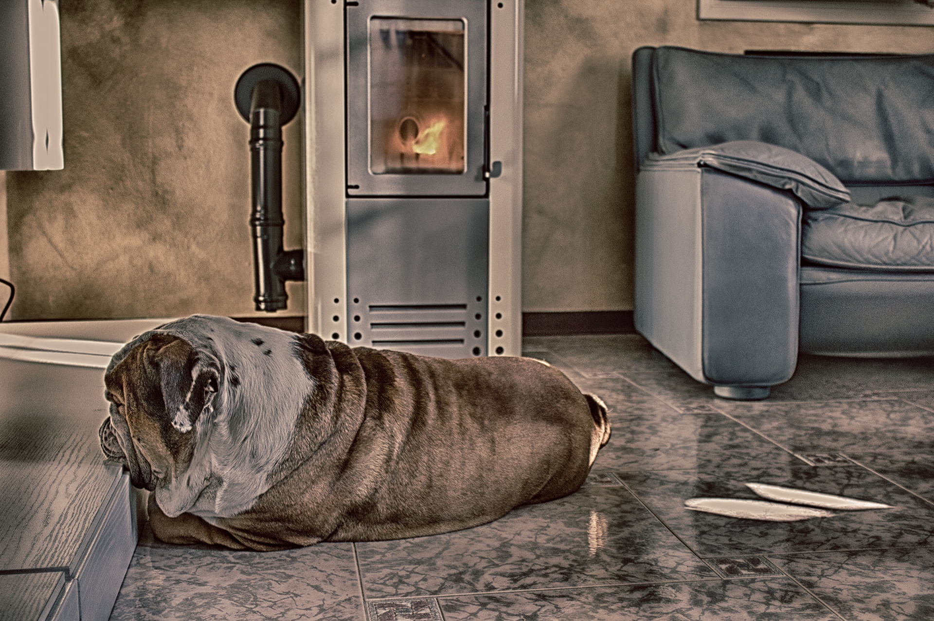 Il mio amore Teo davanti alla sua stufa preferita