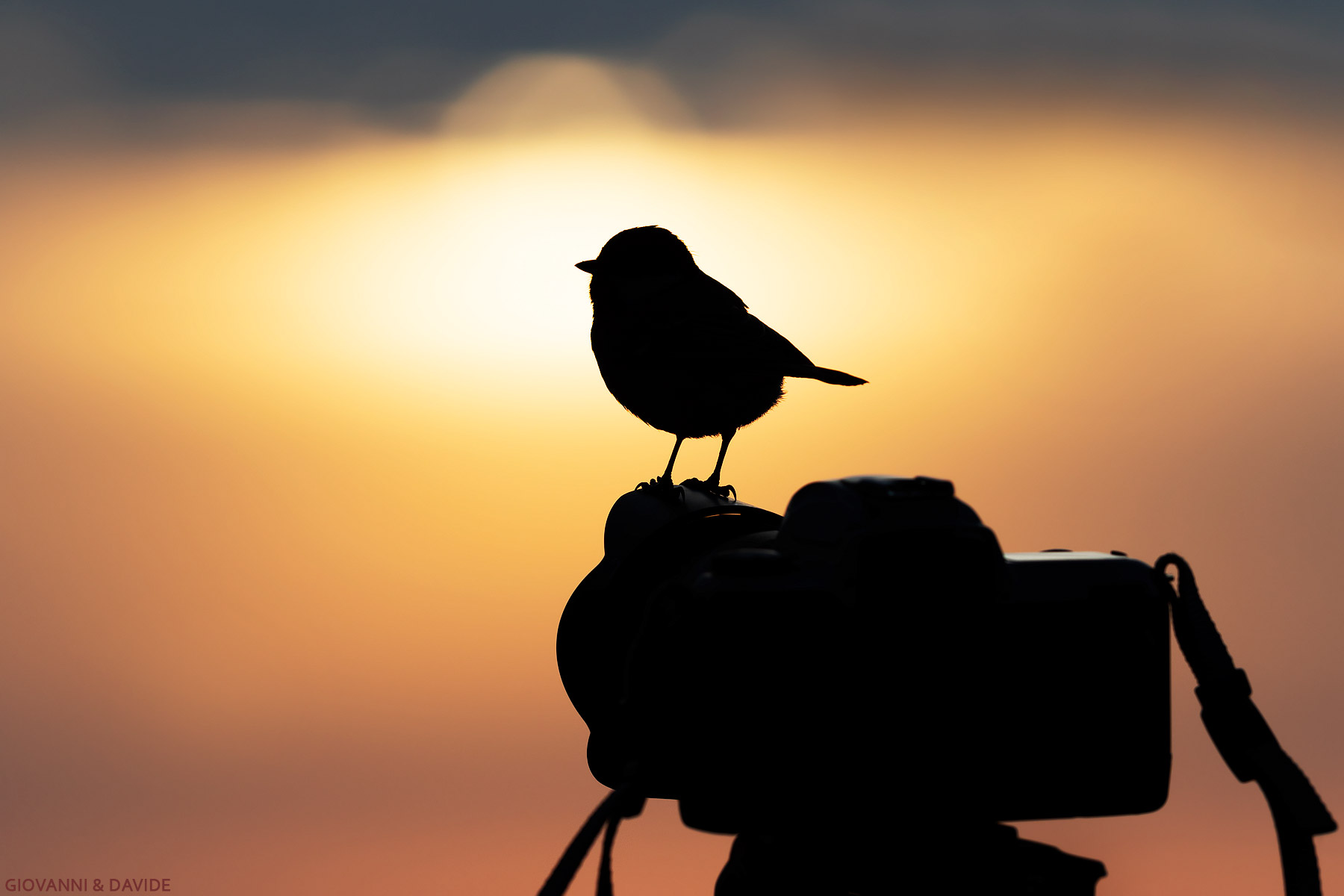 ... At the controls of the exhibition...