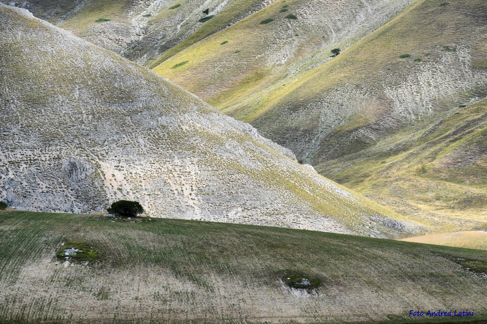 Castelluccio2019