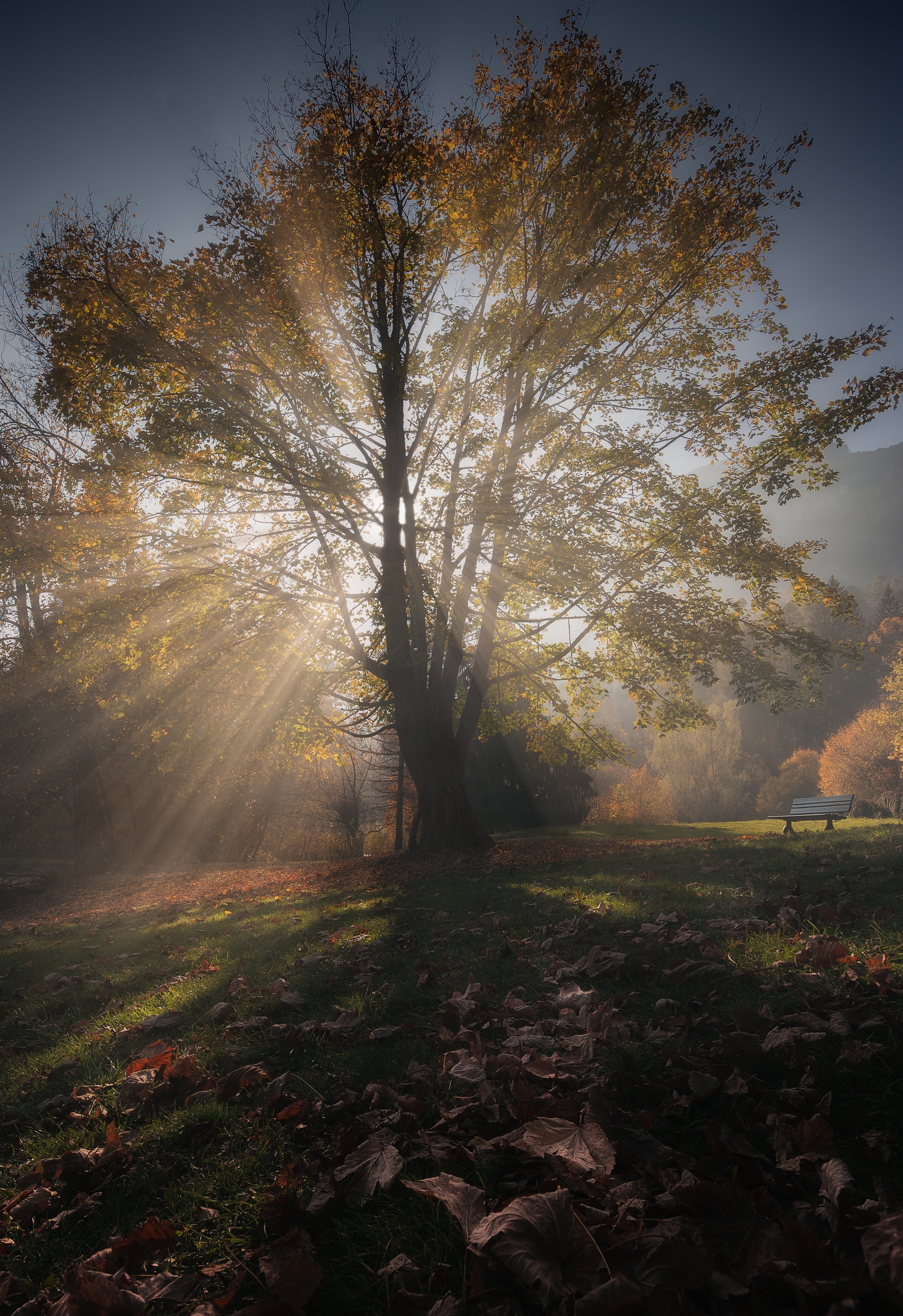 Between lights and shadows