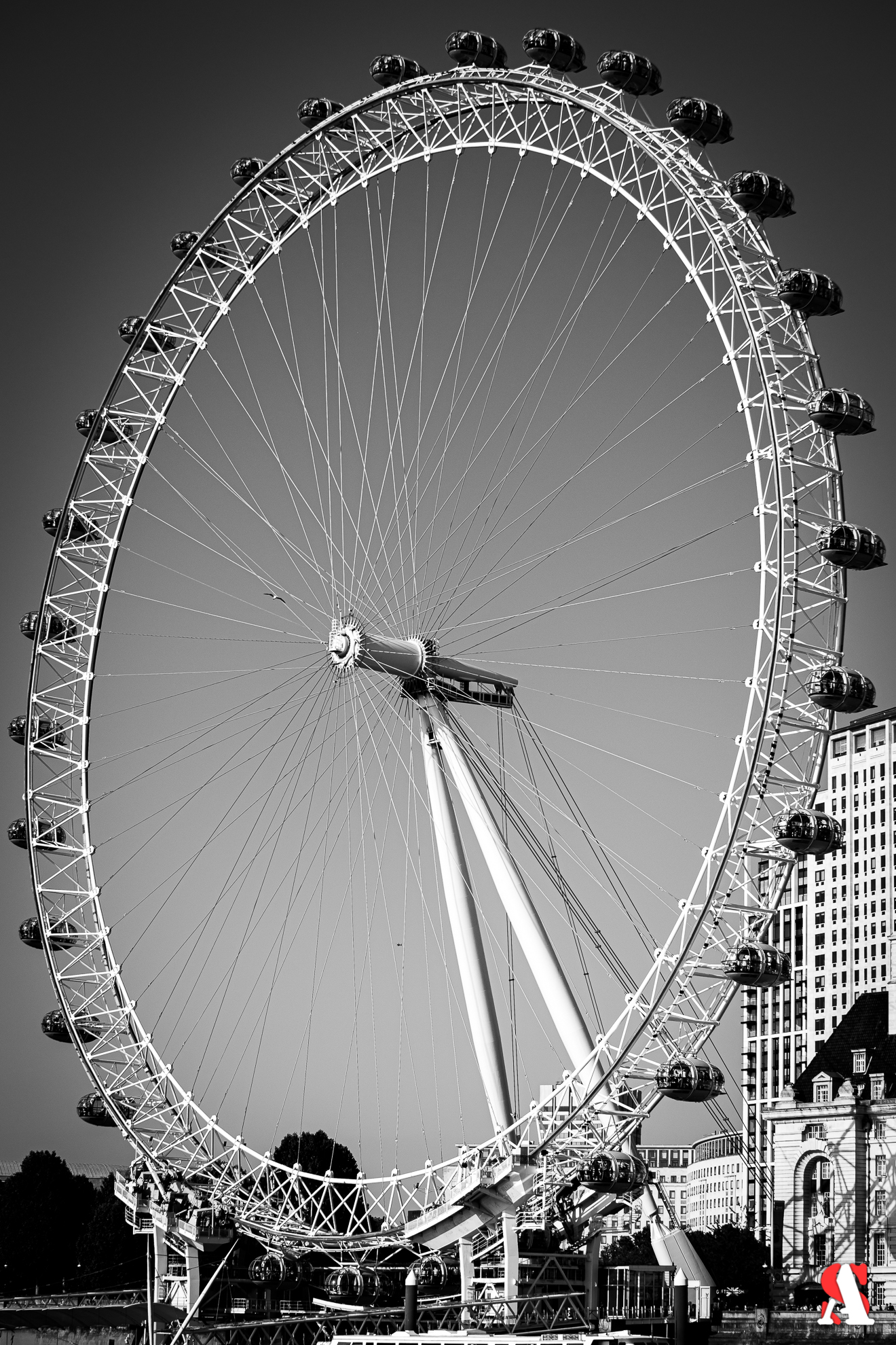 Untitled Photo