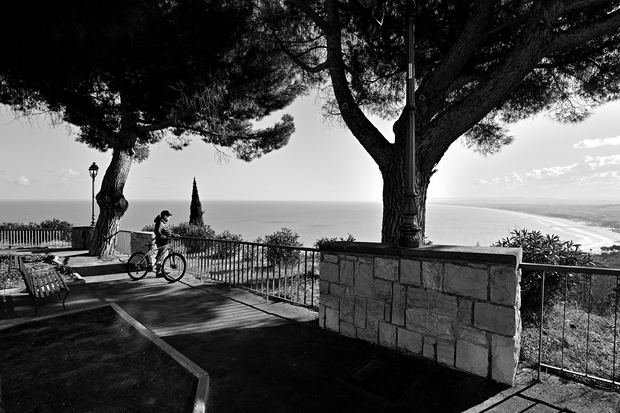 Contemplando il creato