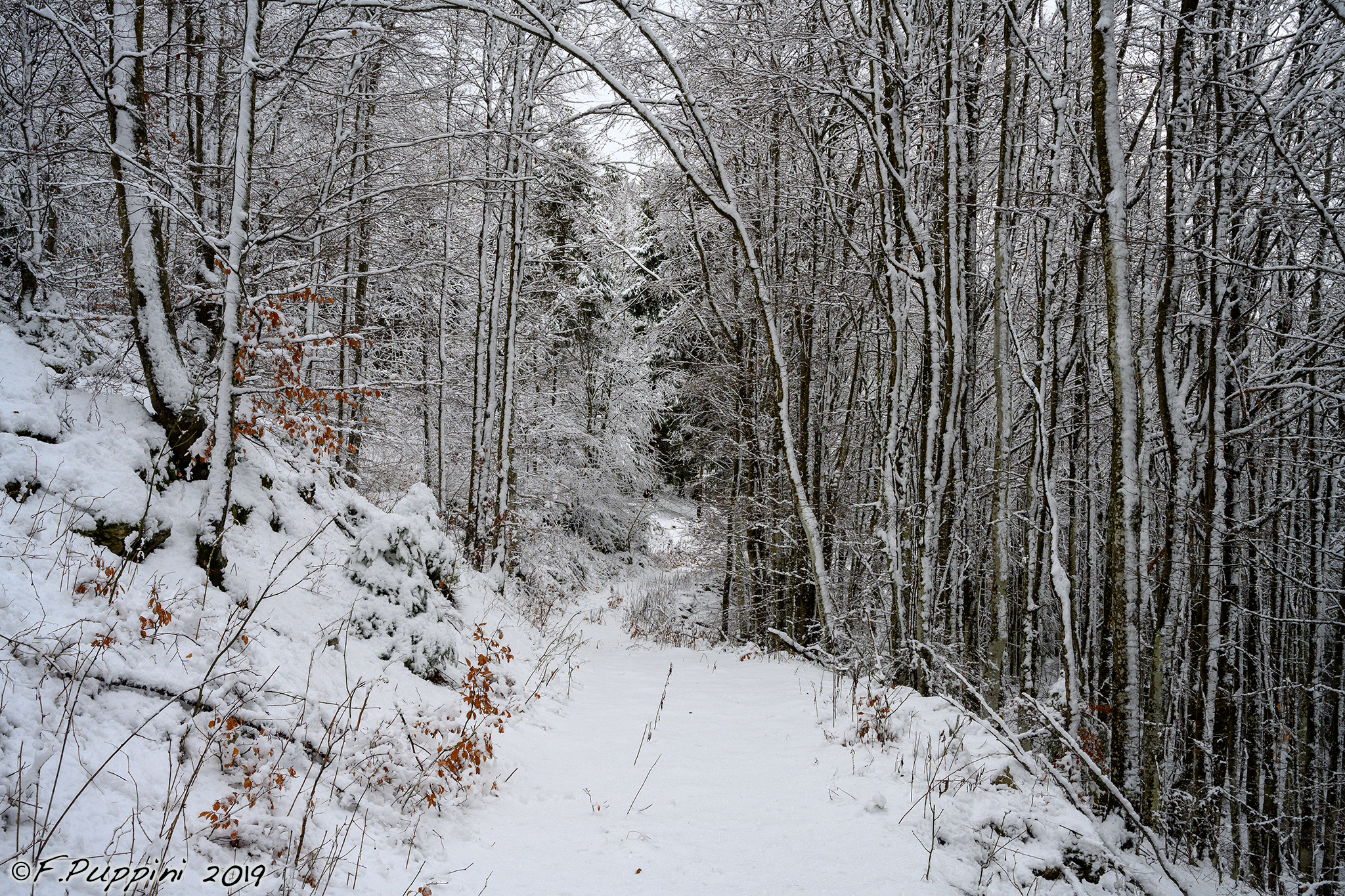 Non prende il cellulare evviva!