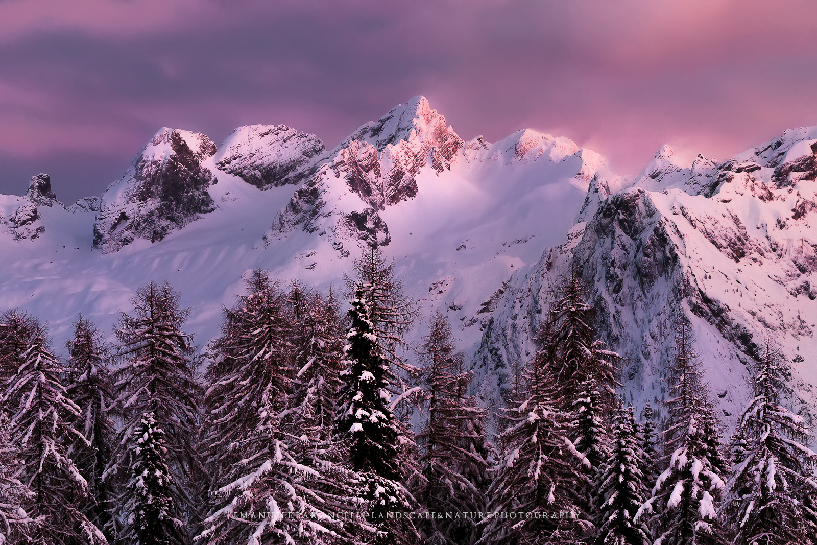 Supernatural Delight