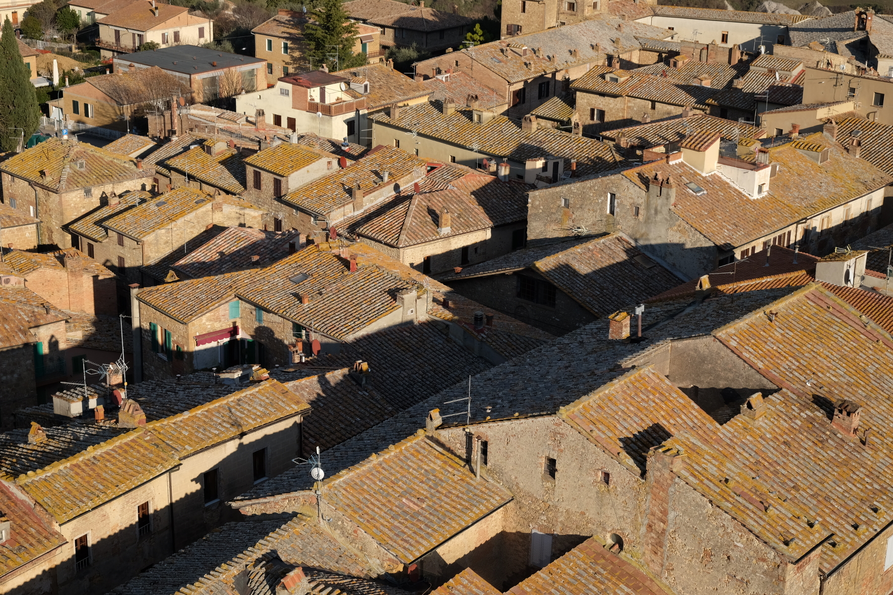 i tetti di Pienza