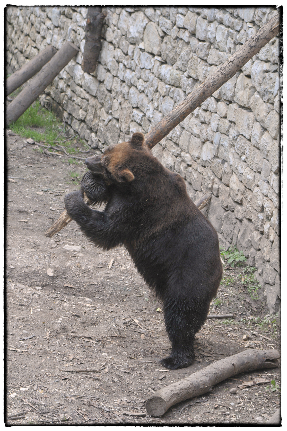 Andiam andiam a lavorar