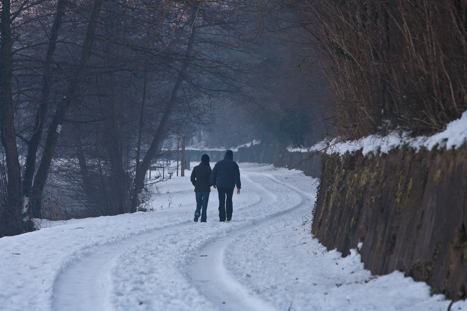 Winter on the Adda - Walk
