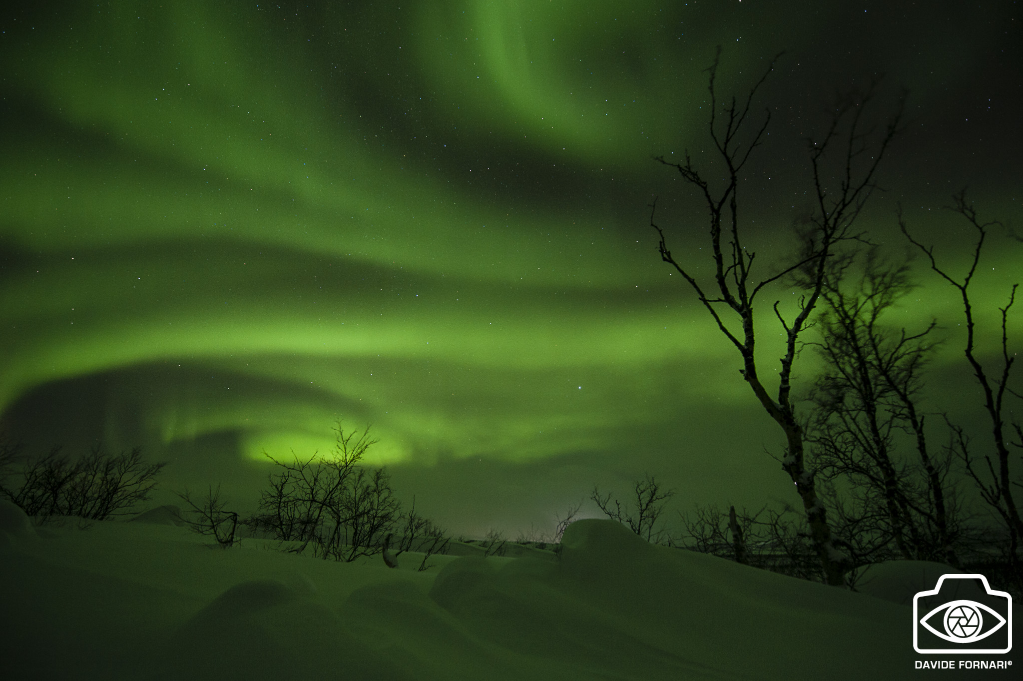 Northern Lights - (Border between Norway and Finland)