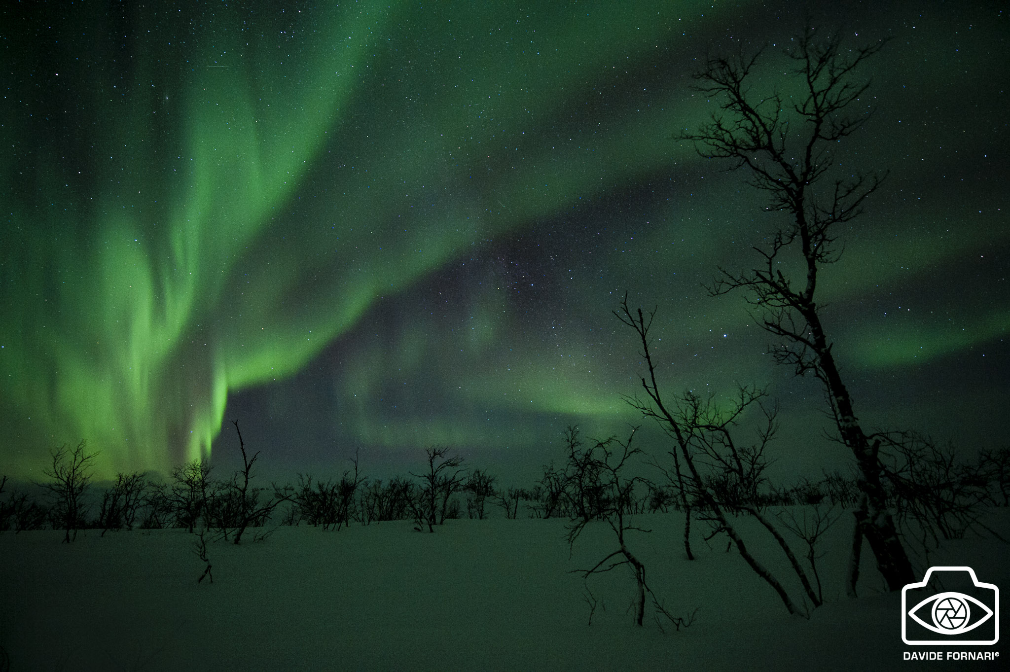 Northern Lights - (Border between Norway and Finland)