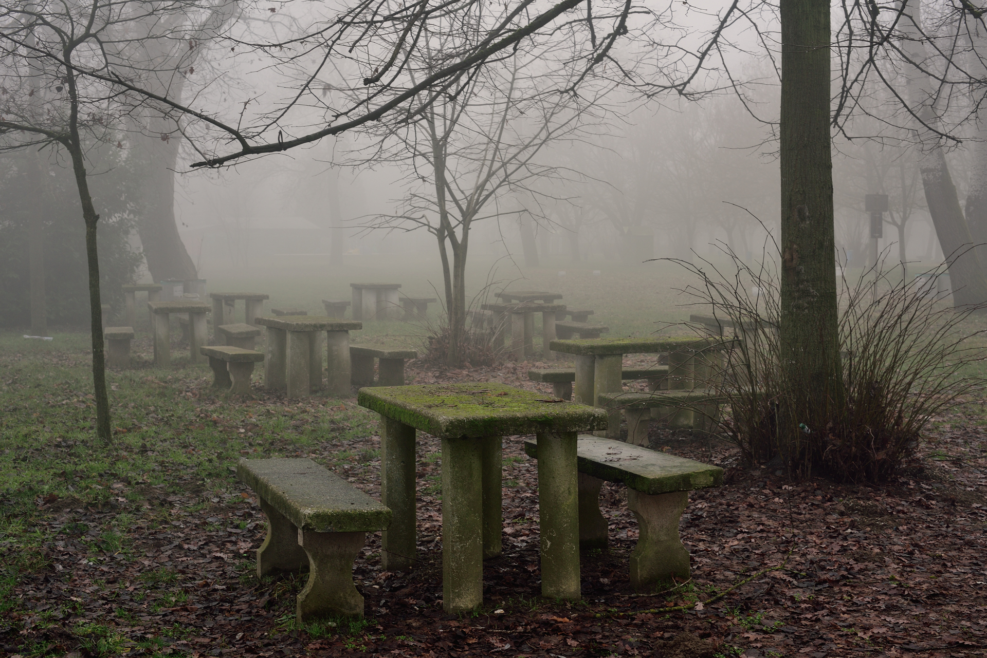 The park on a cold and foggy winter day
