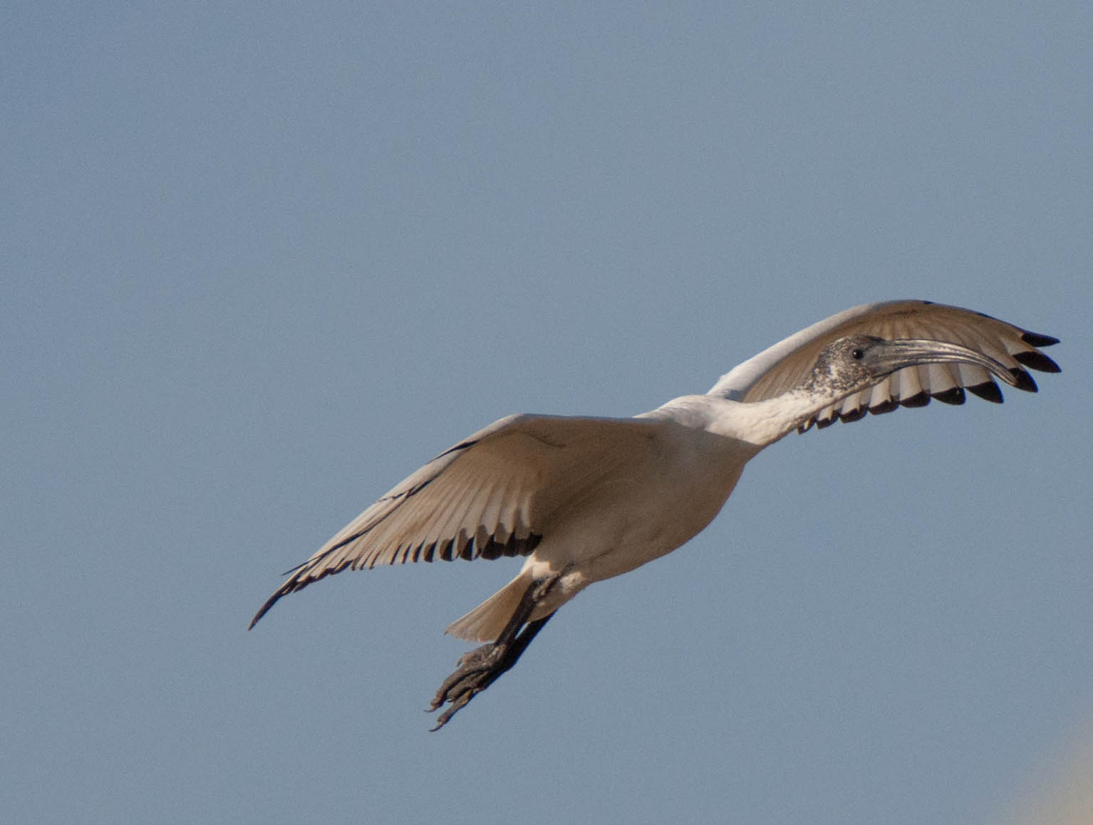 I'm going to California.