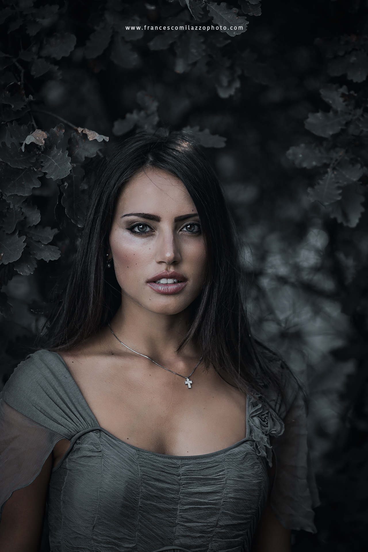 dark princess of the forest