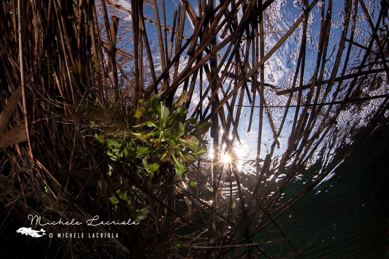 Fresh waters Chidro St. Peter's River in Bevagna