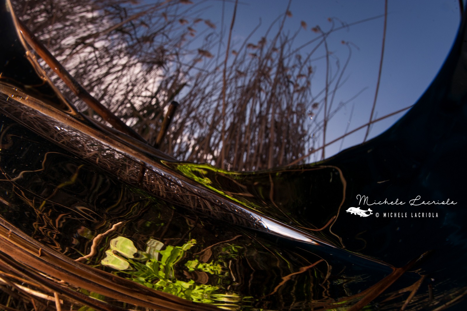 freshwater Chidro River