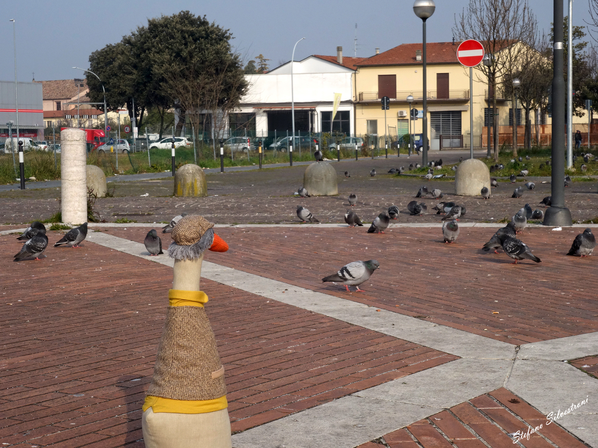 "Quack! A lavorare! Andate a lavorare vagabondi... &quo...