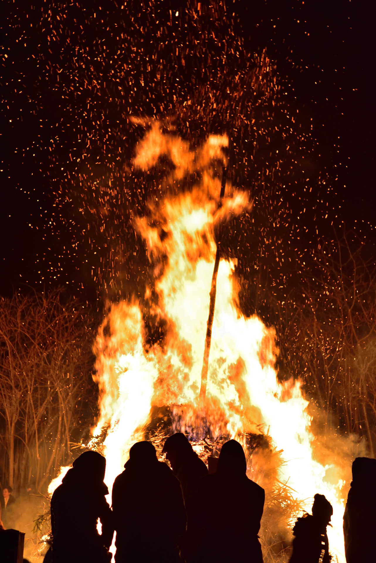 The Bonfire of Freedom