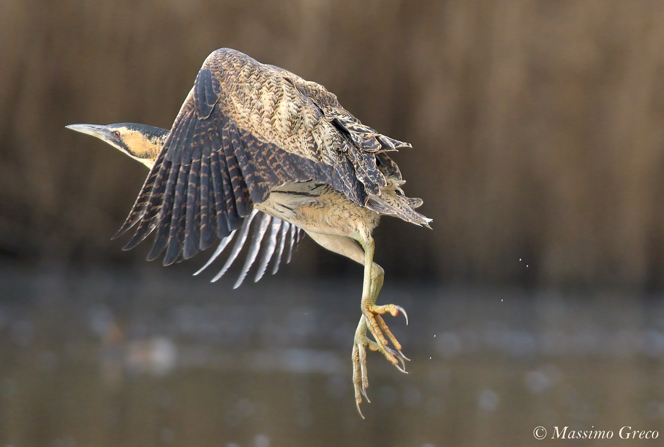 Tar abuse that takes flight