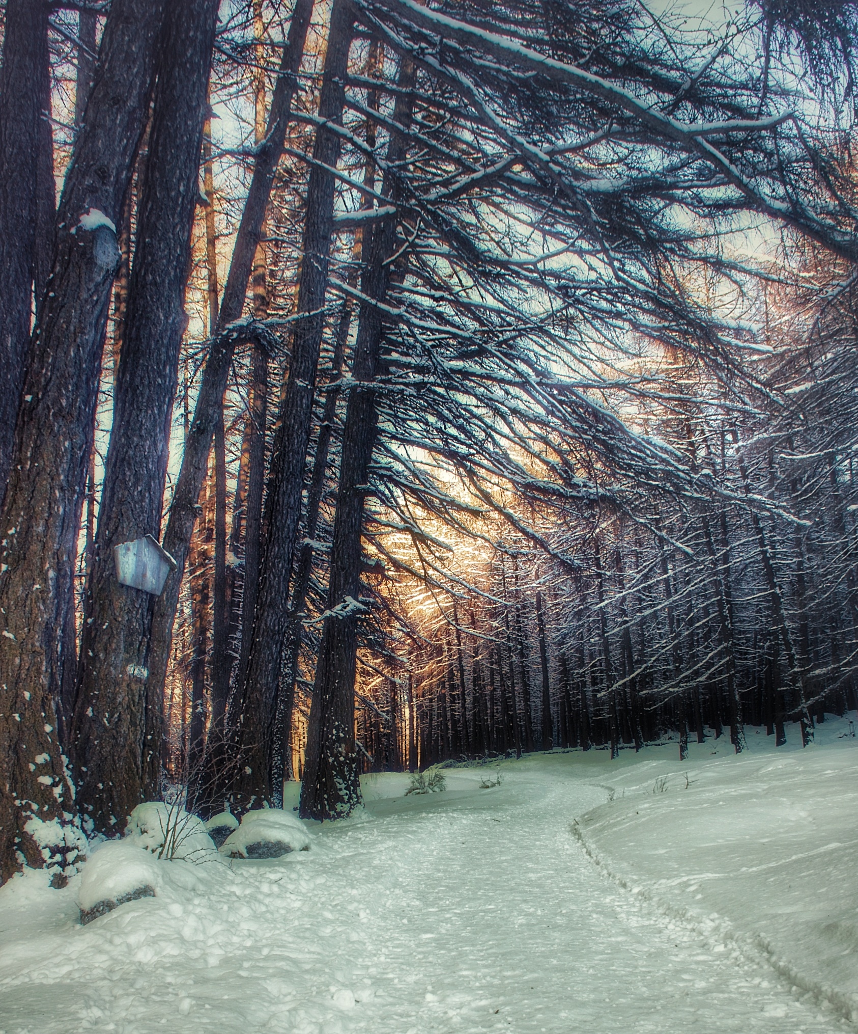 Follow the path