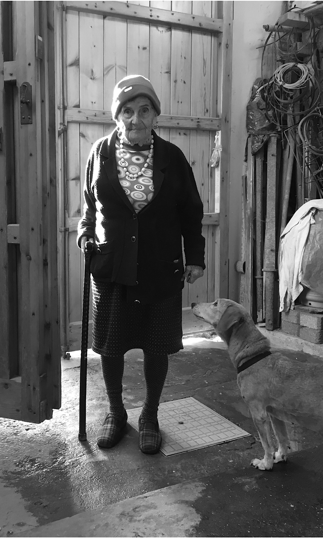 La vecchietta è il cane