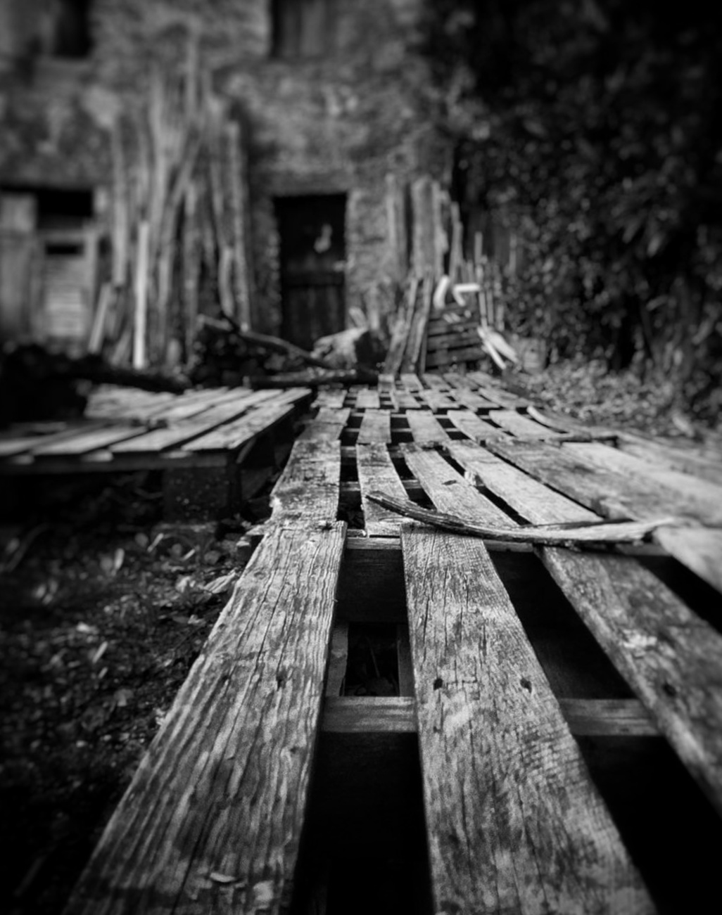 Abandoned, Abandoned