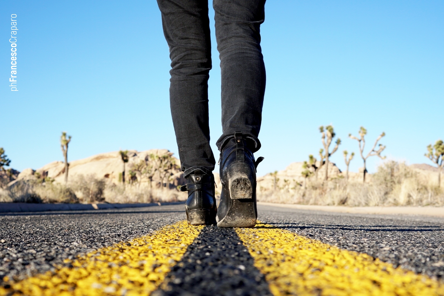 Joshua Tree National Park
