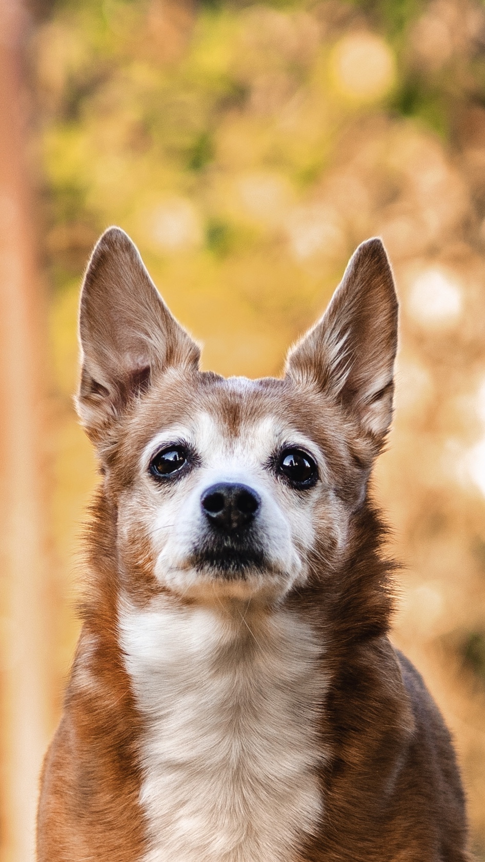 Lilli with her 13 years