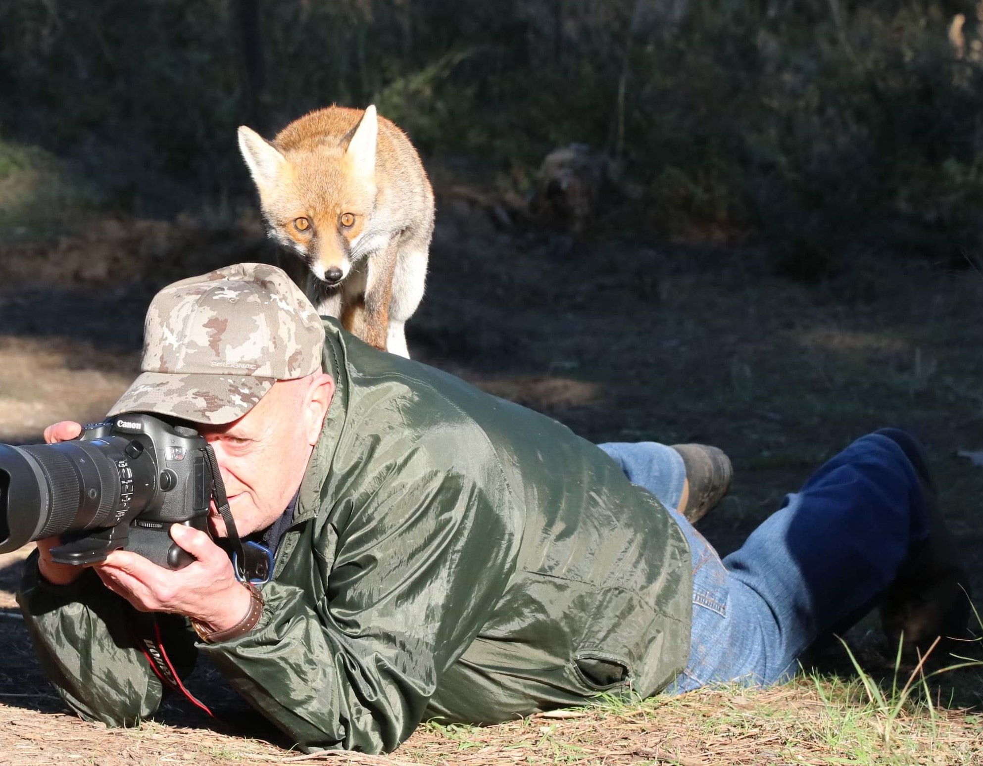 ... playing with Fox