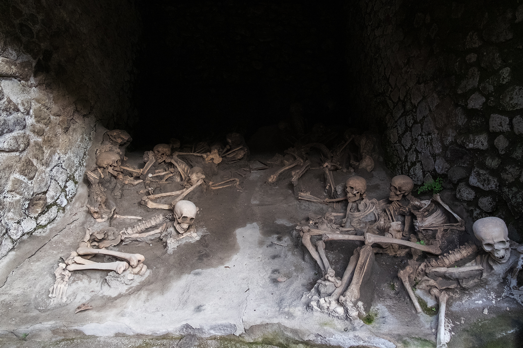 Ritrovi ossei in Ercolano